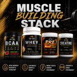 Muscle Building Stack