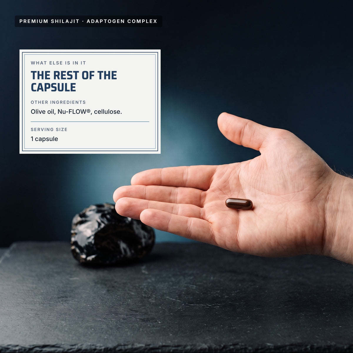 Top Tier Shilajit Adaptogen Complex – other ingredients